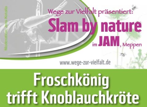 17.11.18: Slam by nature II